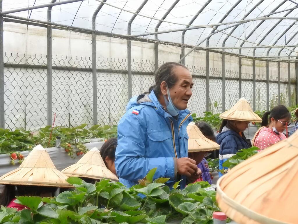 小農夫體驗營活動豐富有趣