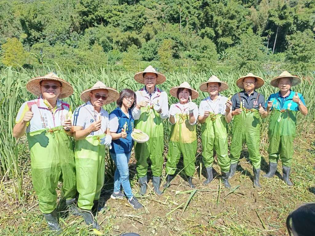 2026龍潭三坑水鄉茭響樂_農遊小旅行_取自桃園好農FB