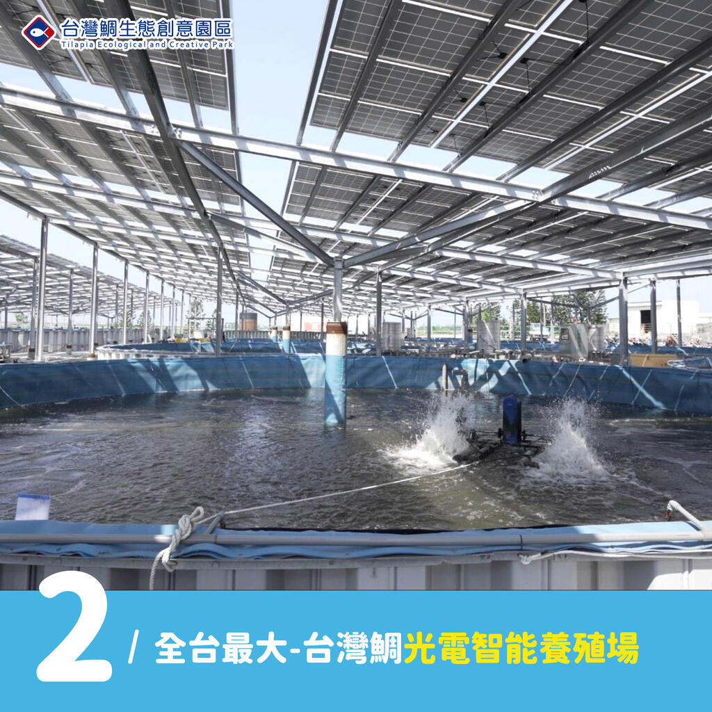 全台最大-台灣鯛光電智能養殖場