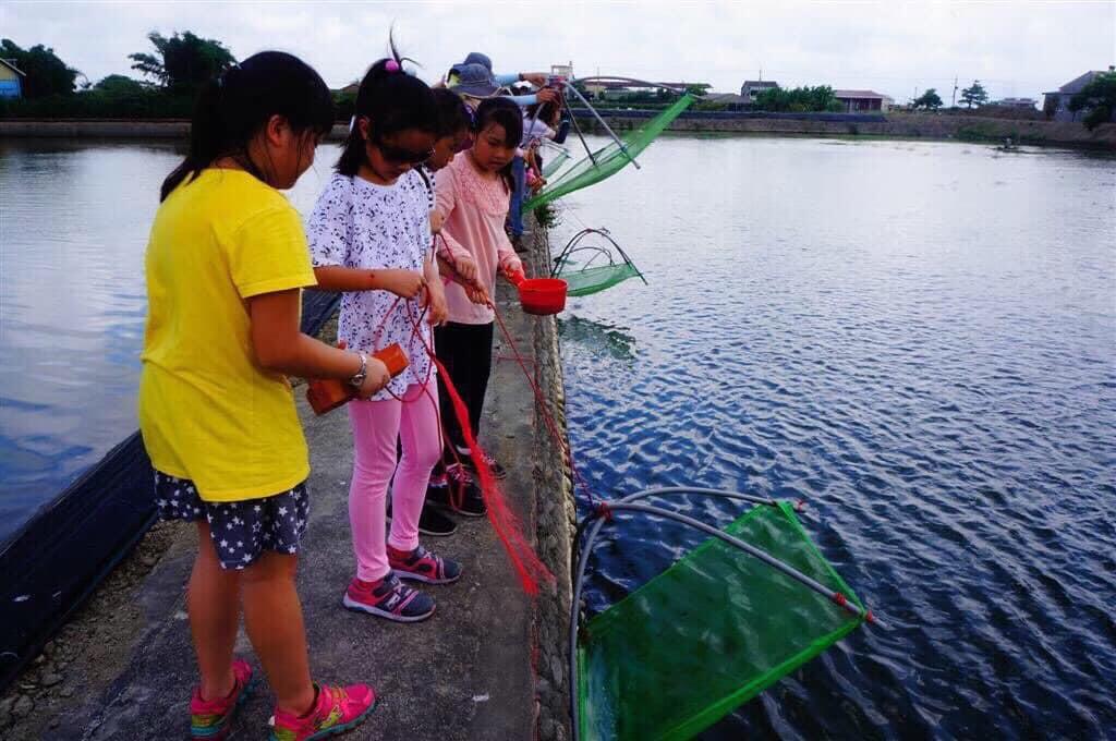 親自體驗下網抓蝦