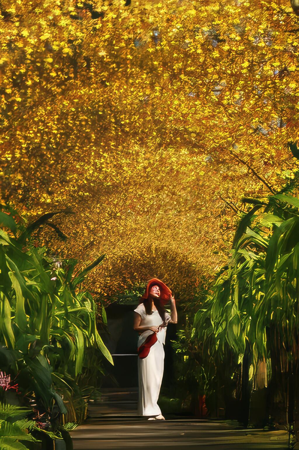 各種苗木及花卉導覽、DIY體驗