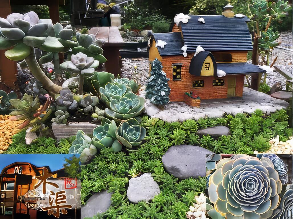 木渠多肉樂活農場