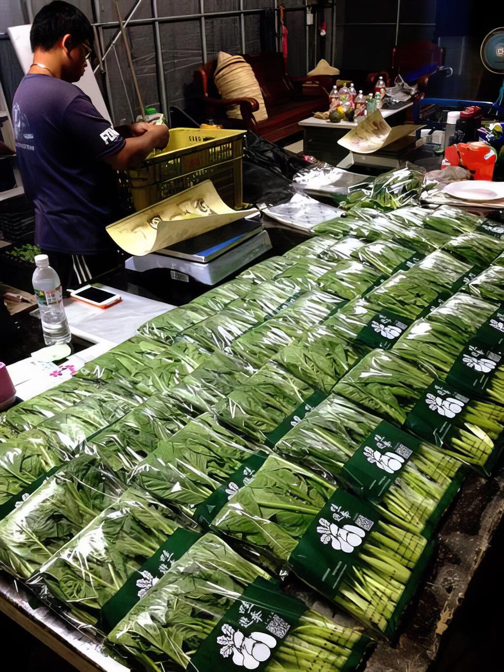 放棄舒適圈，打造安全農業