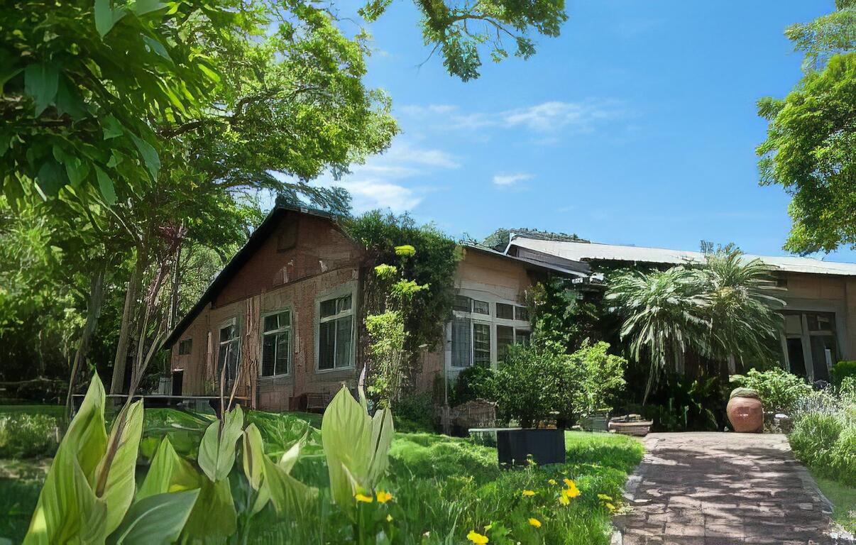 植被環繞的秘密花園