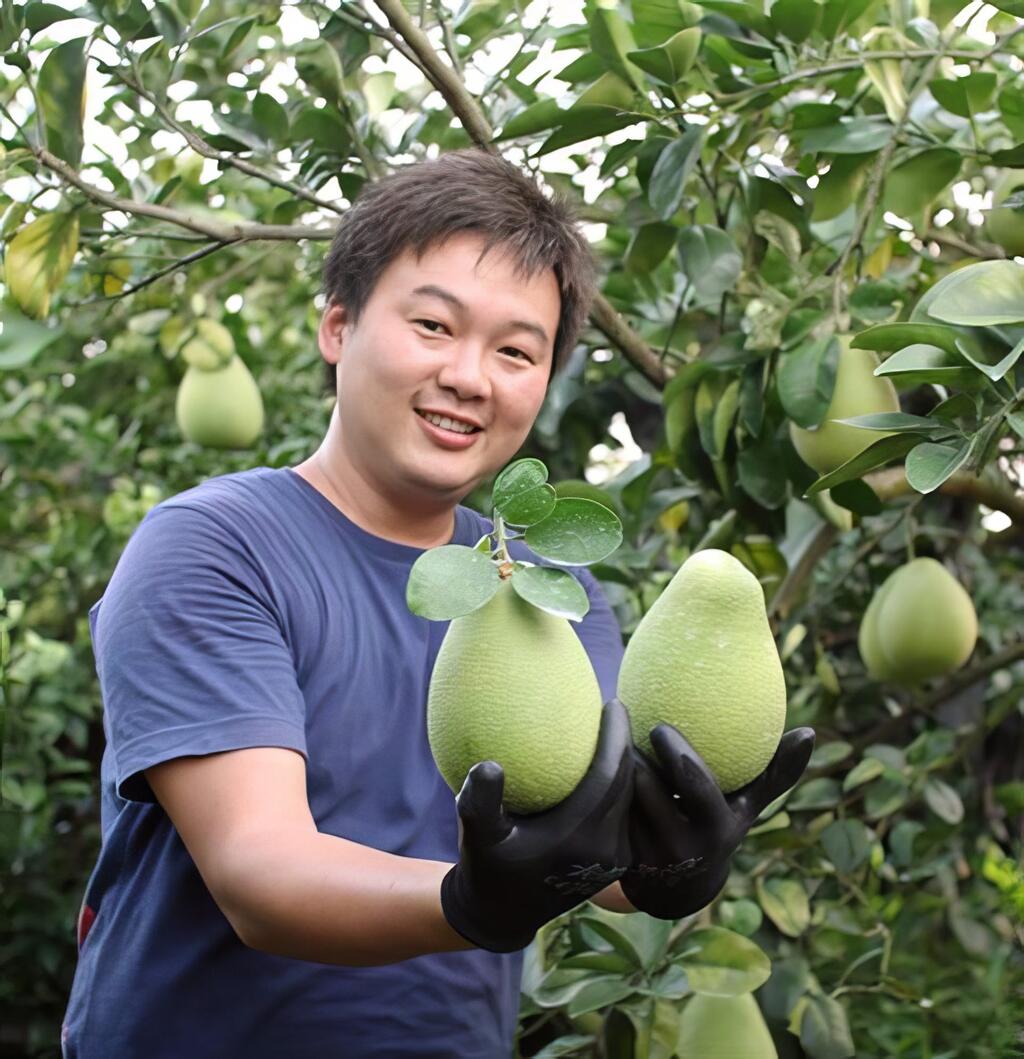 為了單純生活方式，轉入農業有機栽培領域