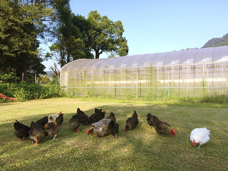 積極推動食農教學與體驗