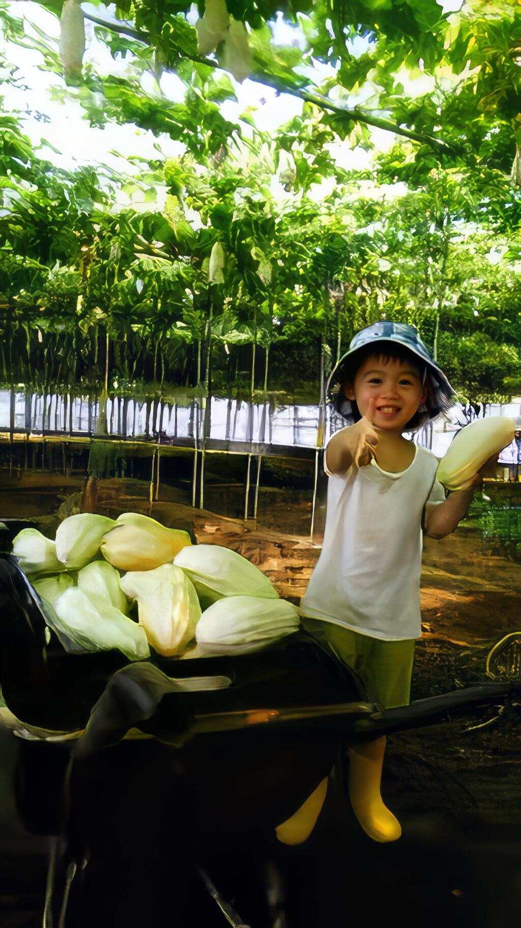 讓更多人享用平價有機草苺