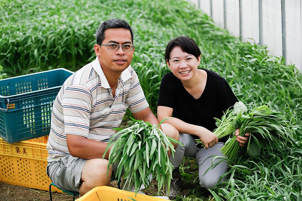 種植有機蔬菜困難多多