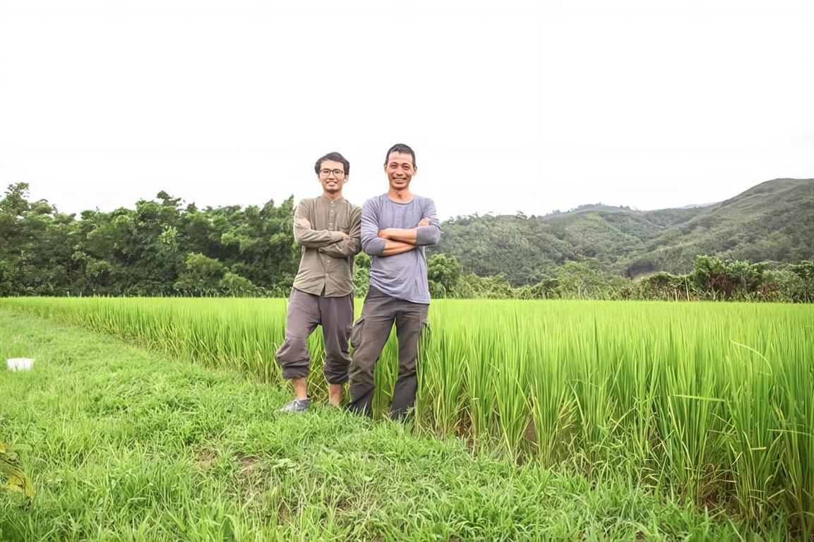 守護土地的稻田-衛稻米