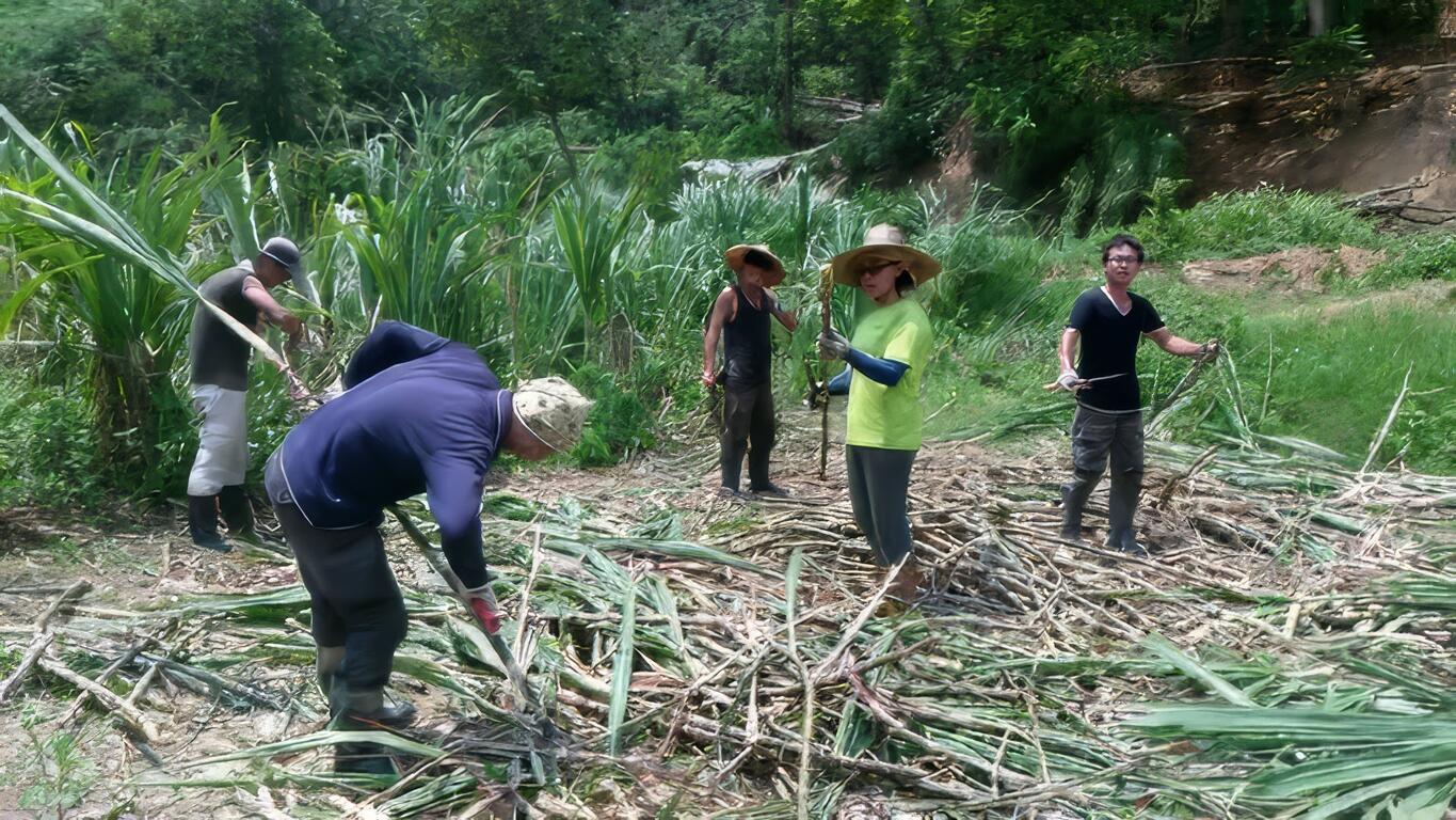 前往日本學習自然農法