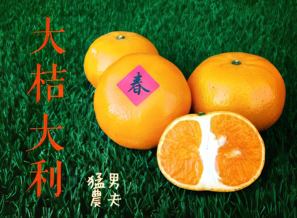 成立品牌「猛男農夫」，販售鮮果、禮盒、農家菜