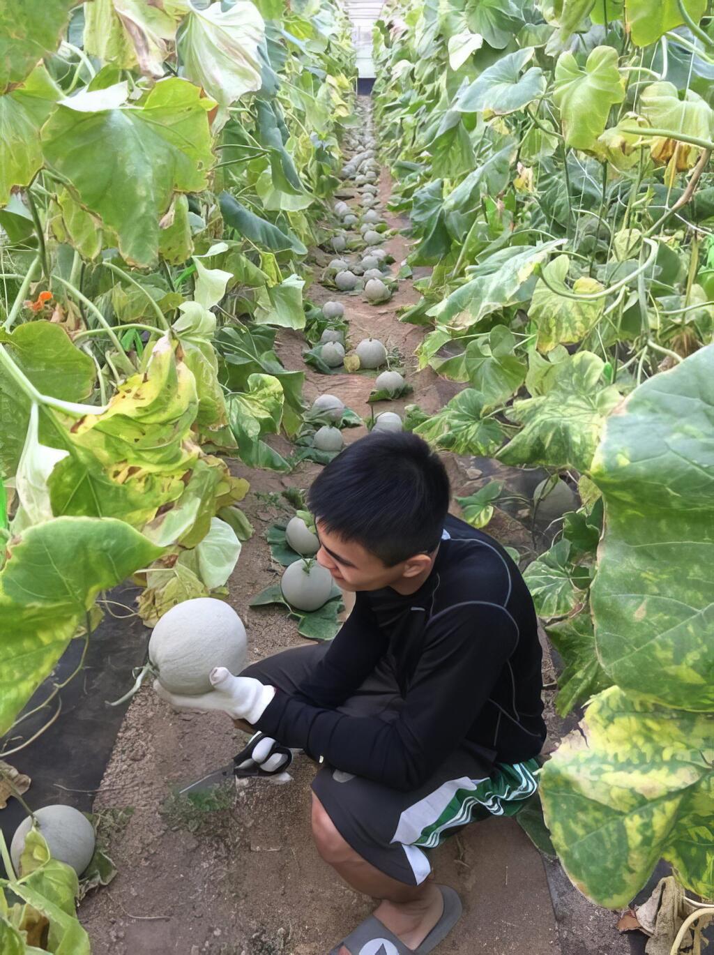 面臨諸多考驗，依舊持續努力