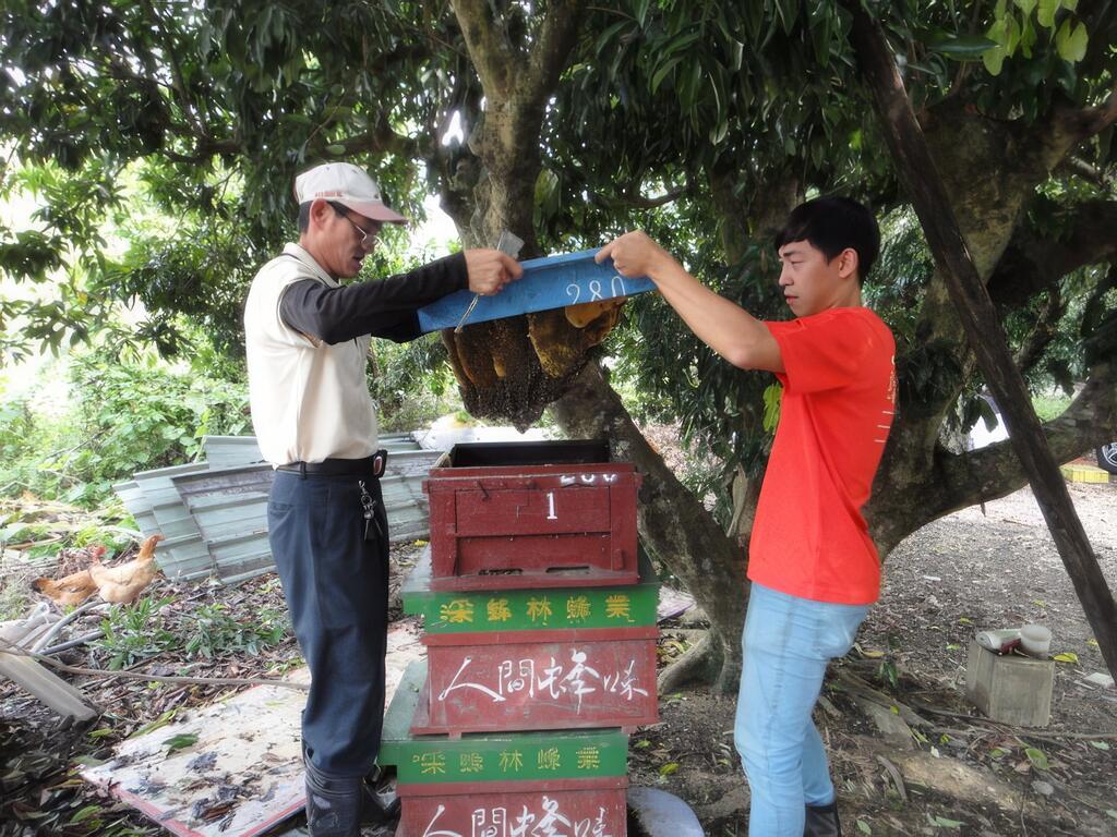 耳濡目染，承襲父業