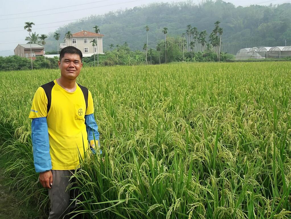 想清楚自己的規劃，友善環境如稻穗謙恭
