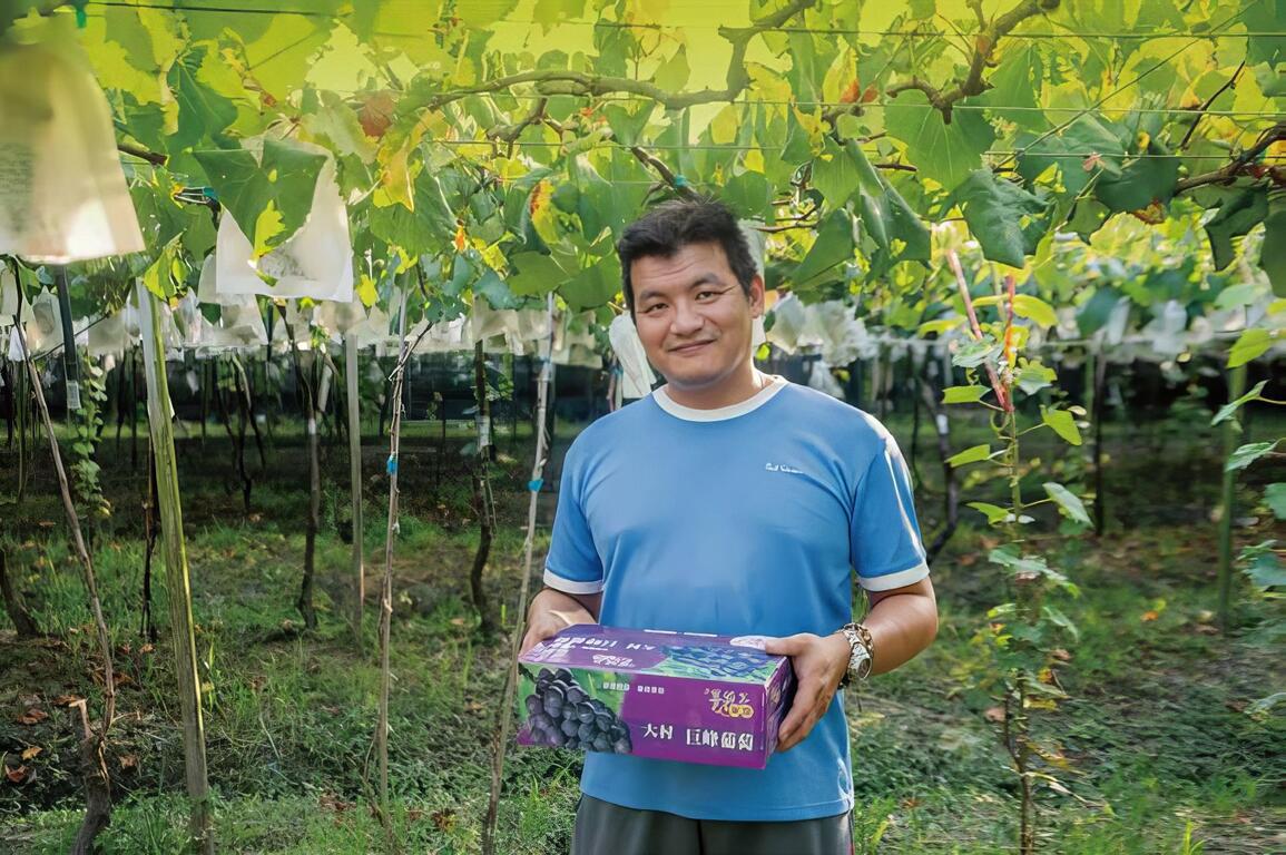 從開始務農至今，努力朝理想邁進