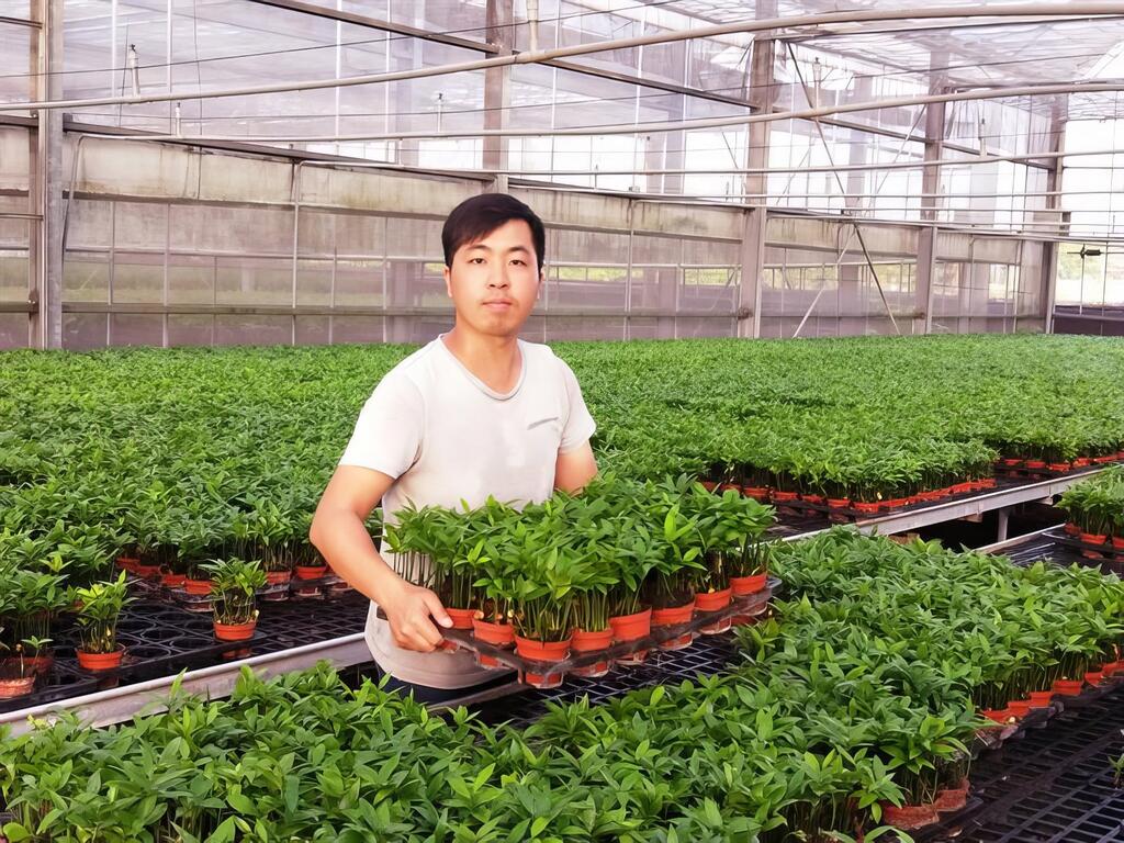 推廣故鄉植栽盆栽 