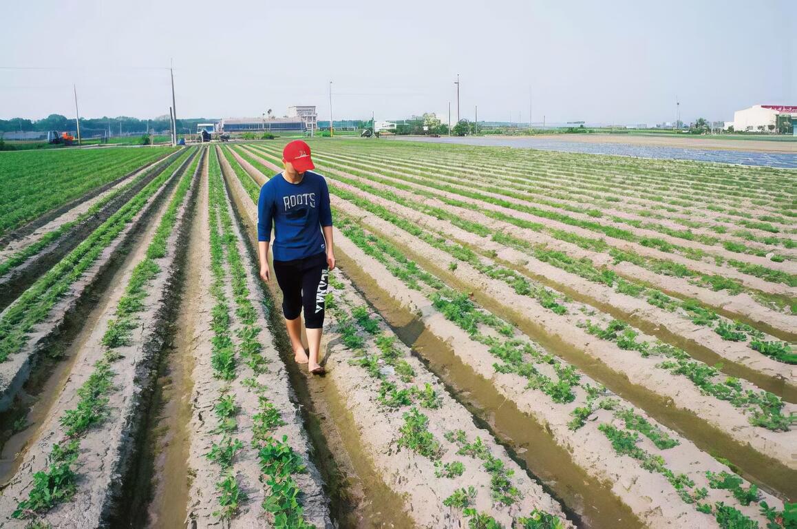黑金剛花生的創新製工與吃法