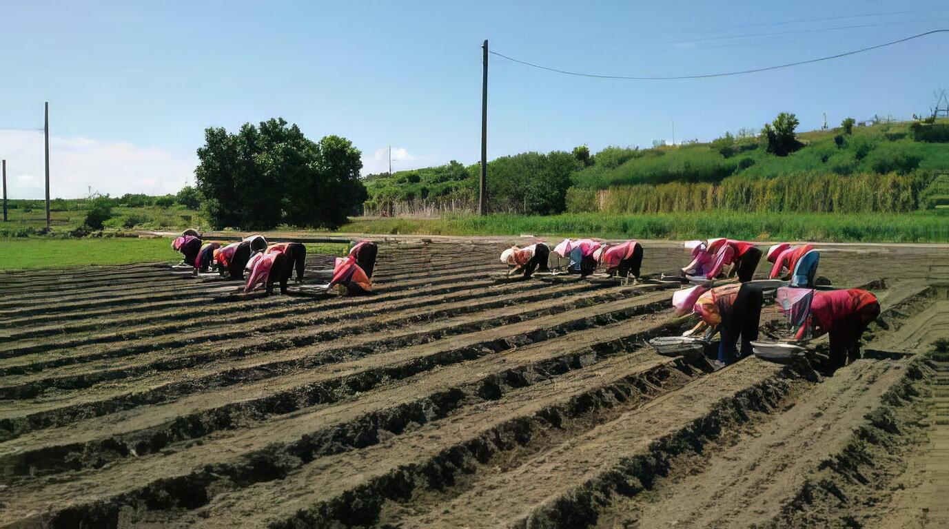 接續祖父母對這片土地的熱忱