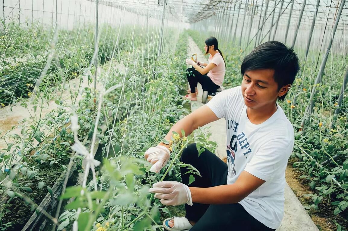 青年農民與女友共同攜手闖出一片天