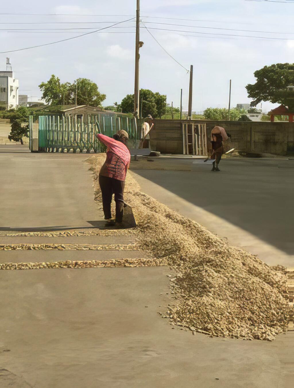 種在心田裡的種子 名叫希望