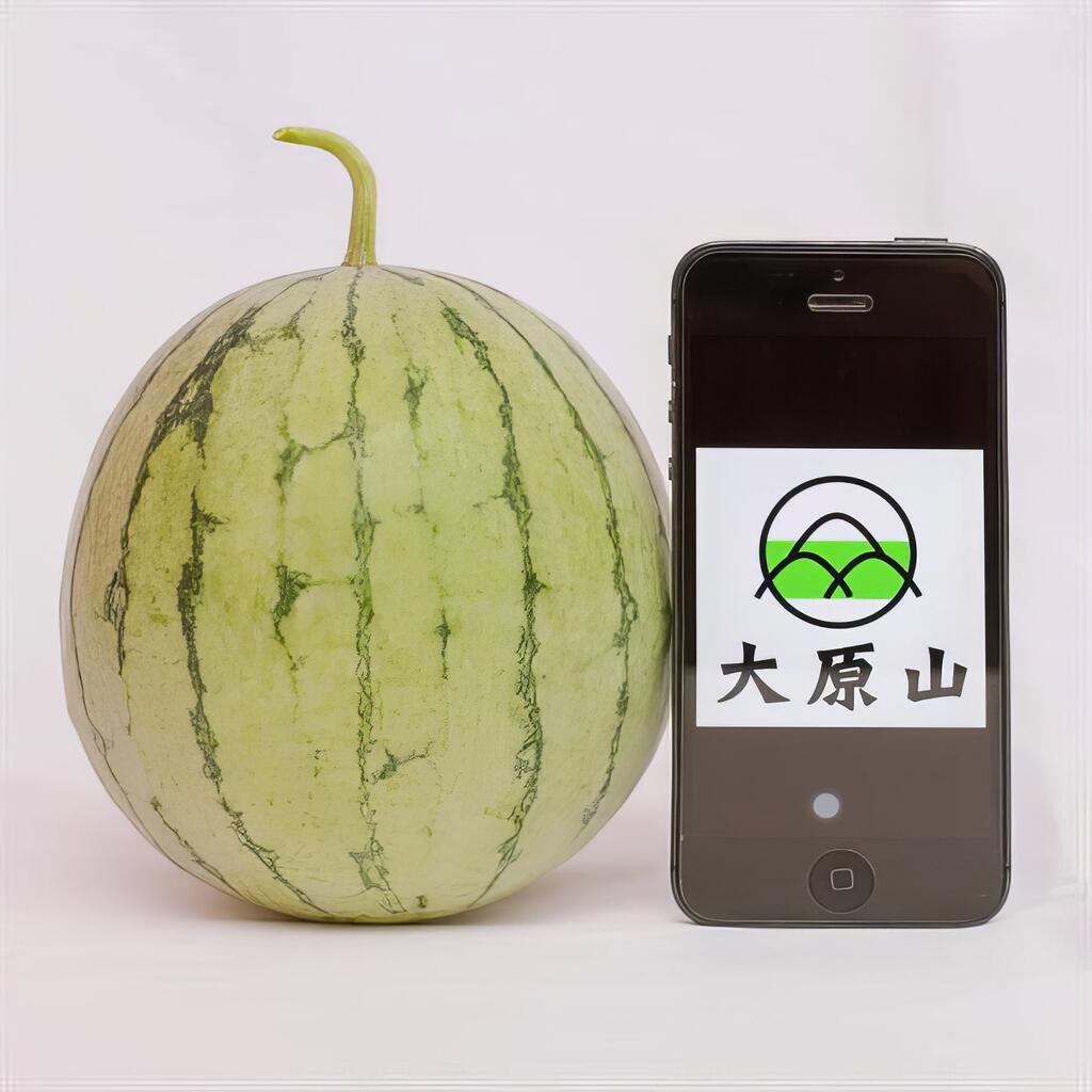 尋求專業、內化為自身進步的力量