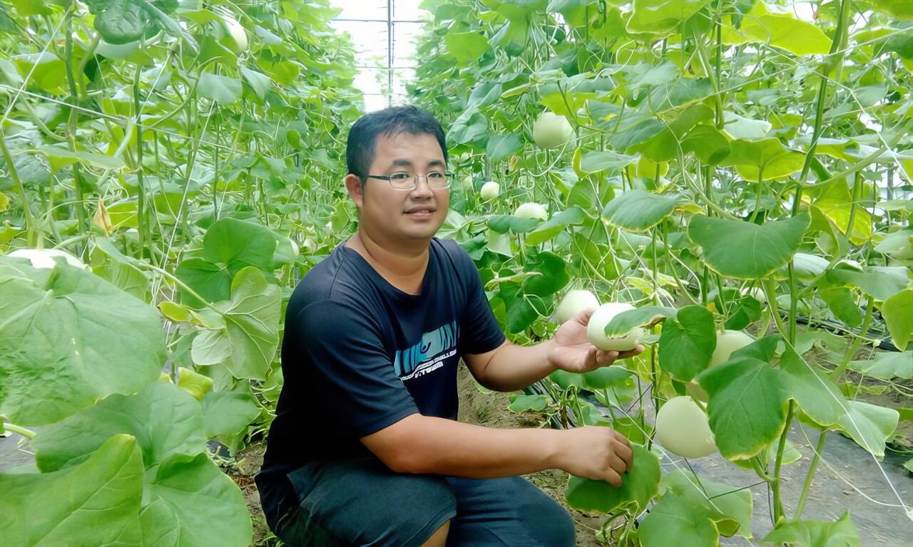 嚮往農業的自由自在