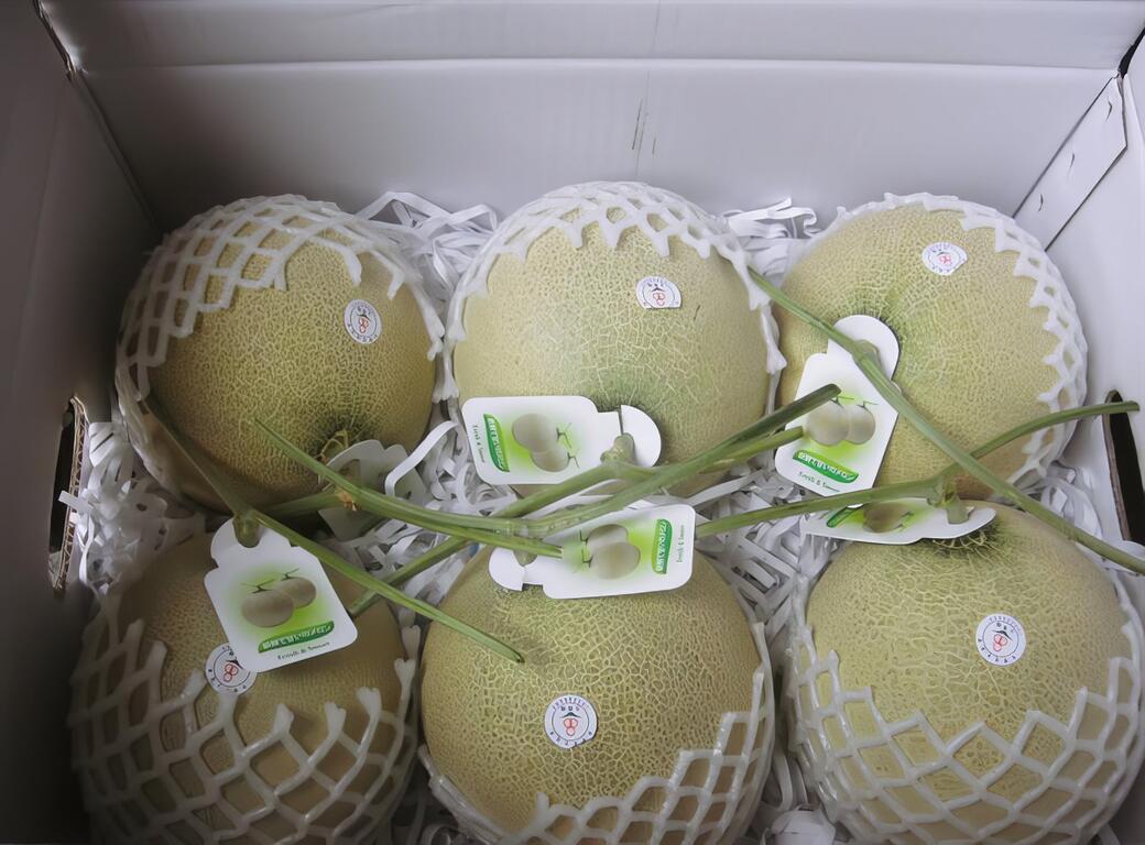 不斷進步，取得肯定