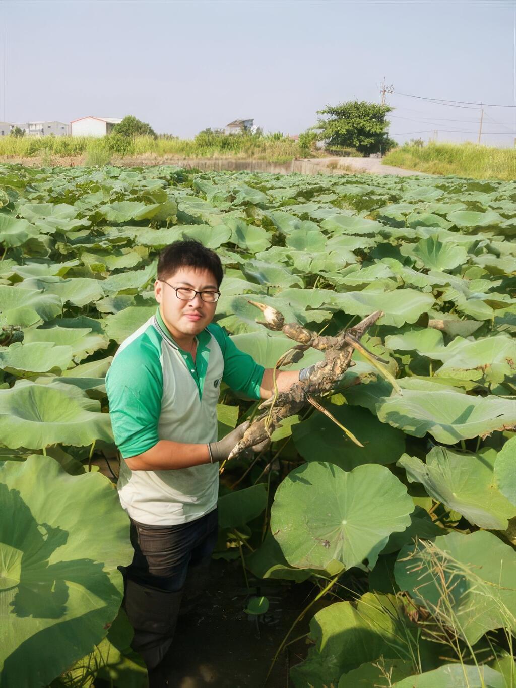 透過傳承與創新，讓蓮花蓮藕真正成為白河的藕像