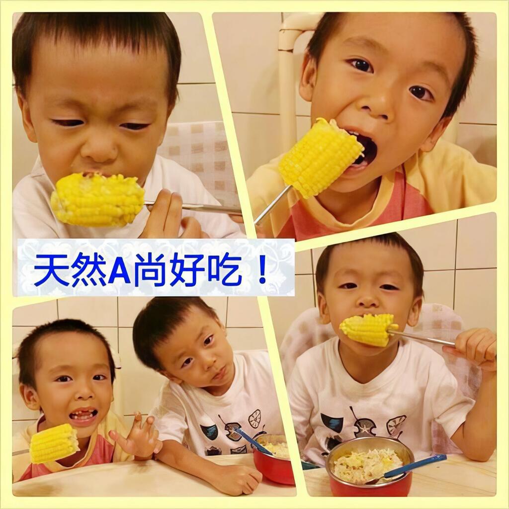 從園區工程師轉職為農夫，重擬人生的意義及目的