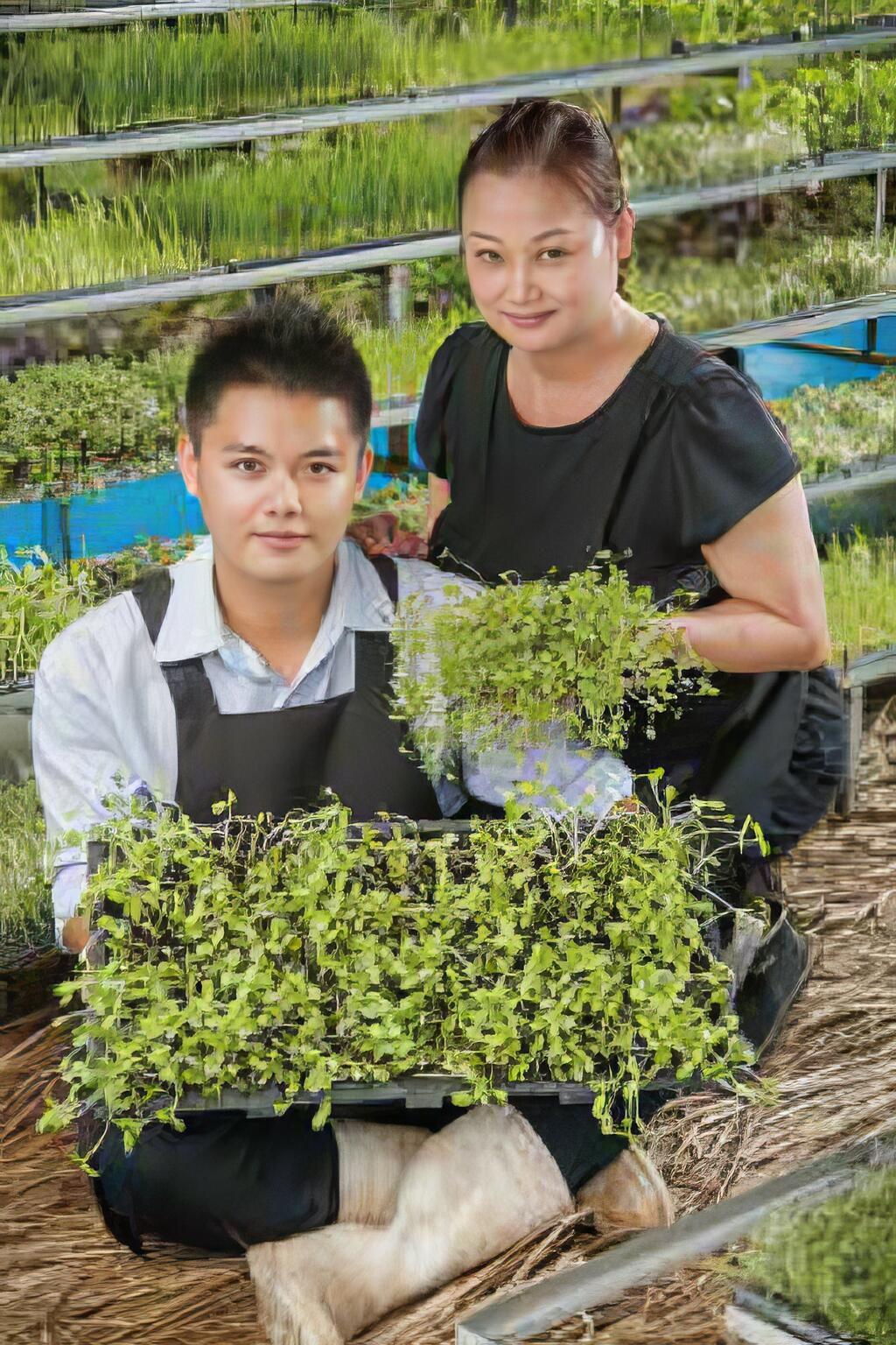 從農即創業