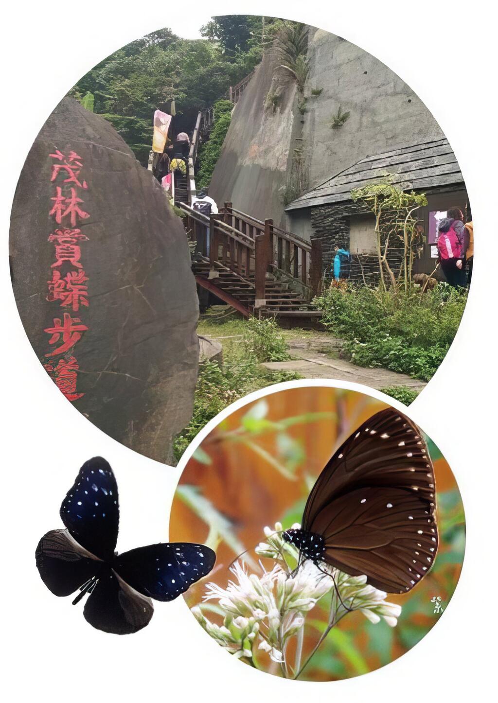紫蝶步道