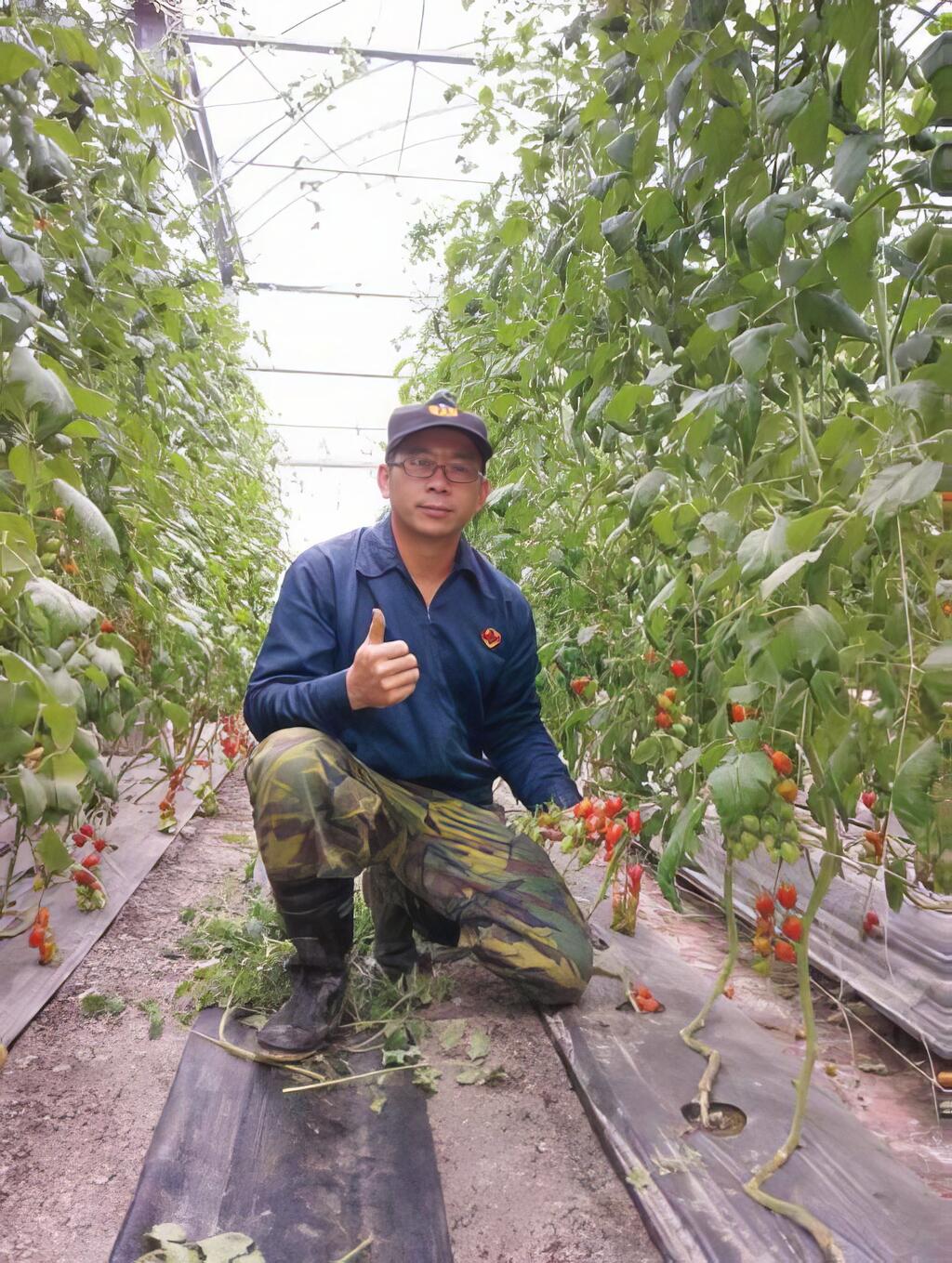 生產安全的農作物