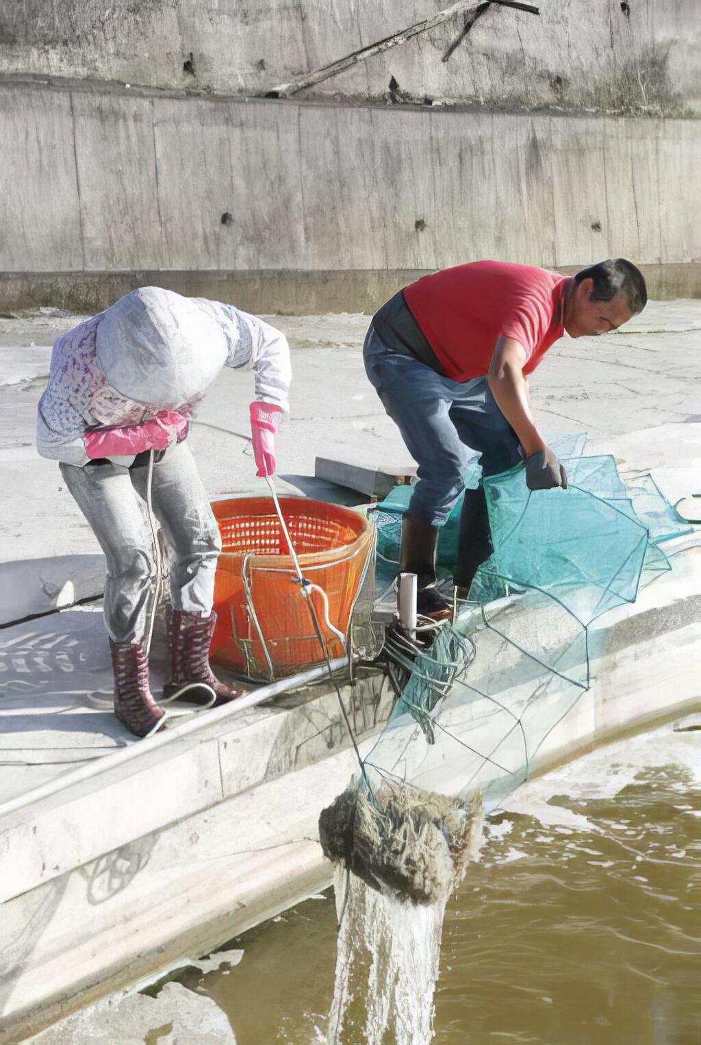 期望未來能夠突破再創新 打出新東洋白蝦的一片天