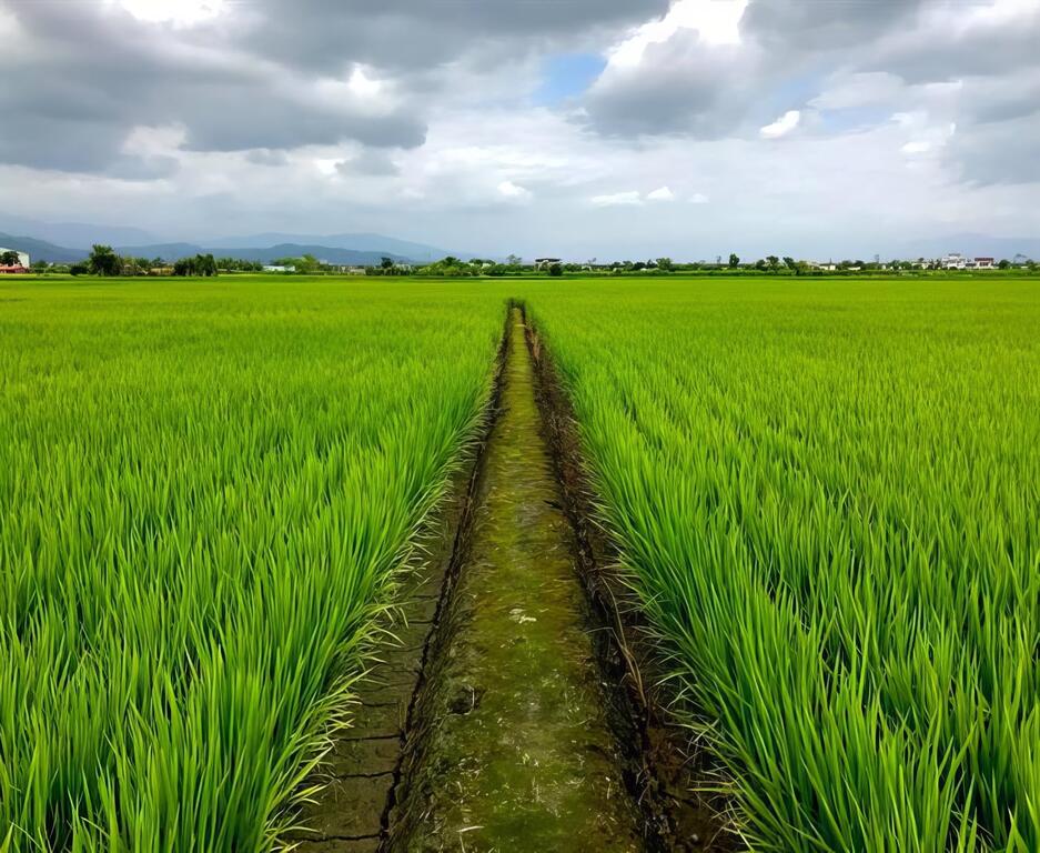 自然純樸的農場環境