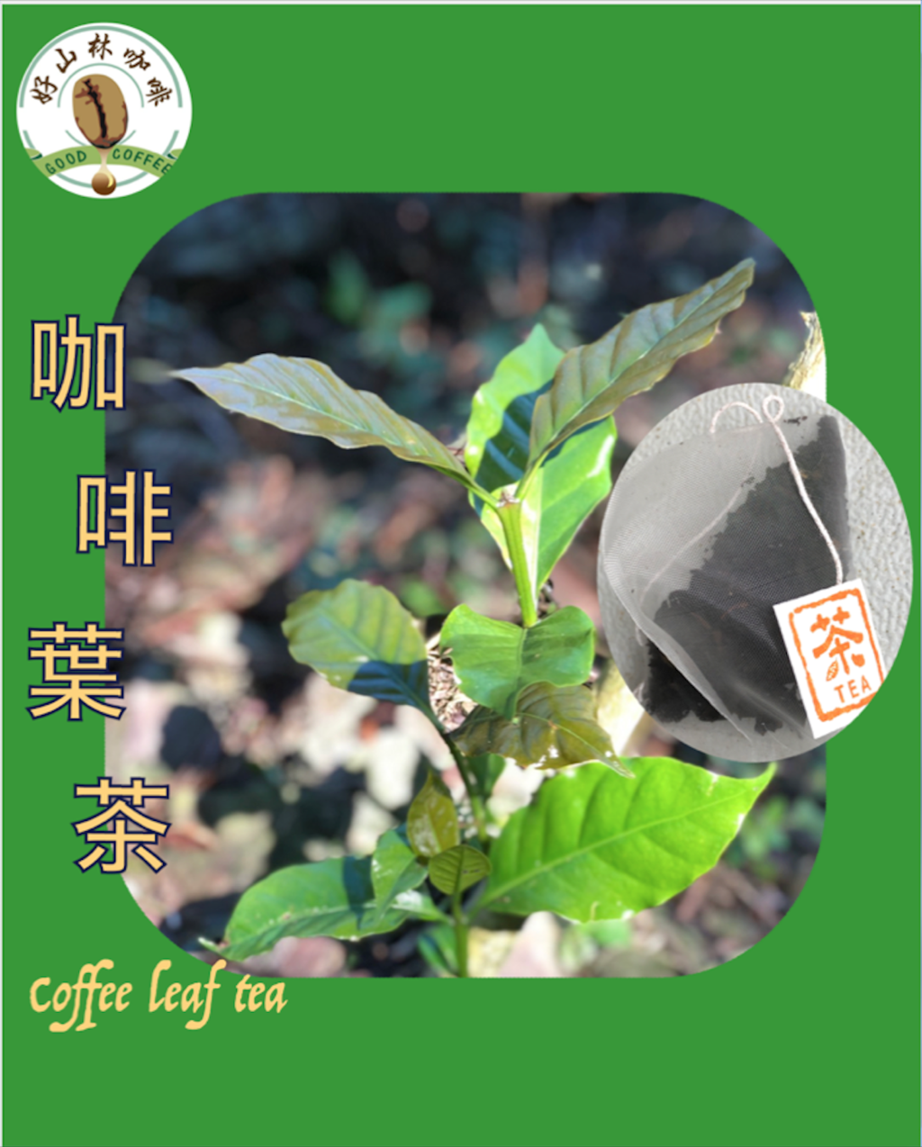 咖啡葉茶
