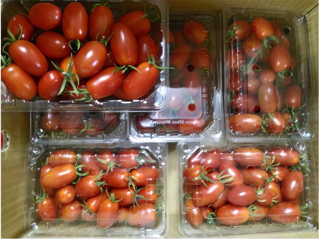 推薦伴手禮/農特產