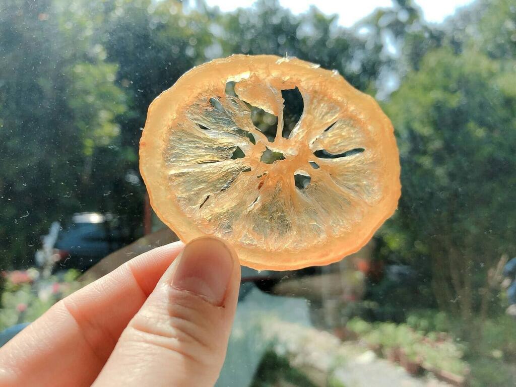 義大利萊姆檸檬果乾