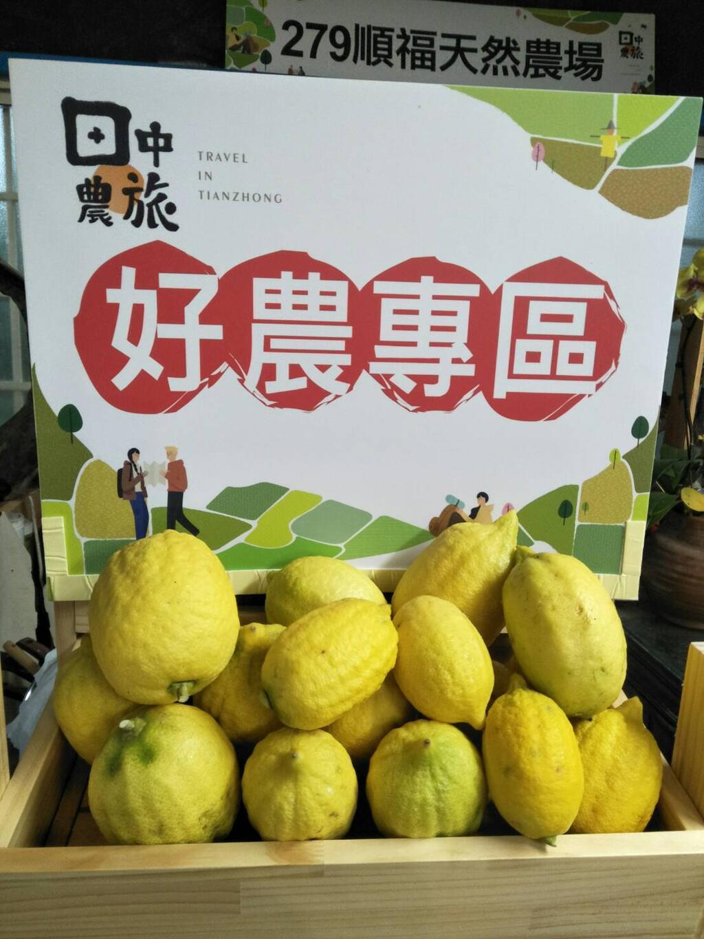 義大利萊姆檸檬