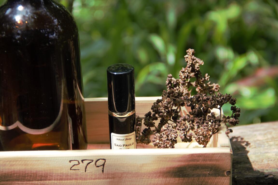 萃取土肉桂精油及應用