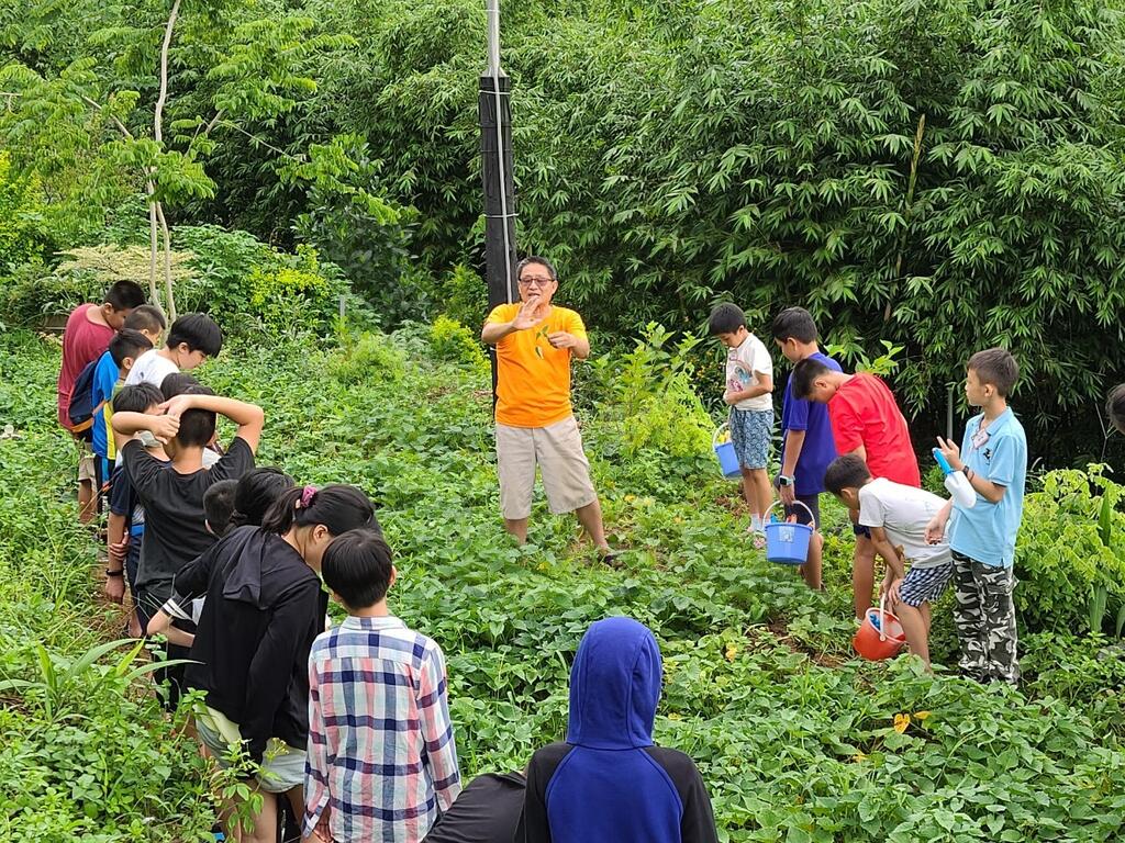 蔬菜採摘體驗課程