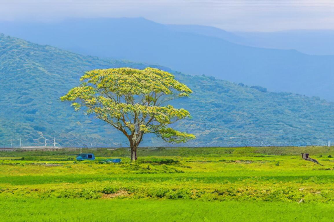 東豐休閒農業區自然純樸的農村風貌