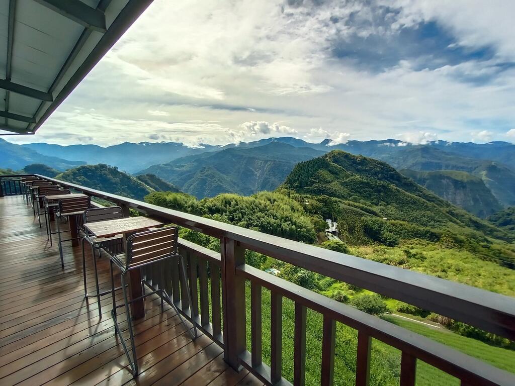 生力農場茶園美景