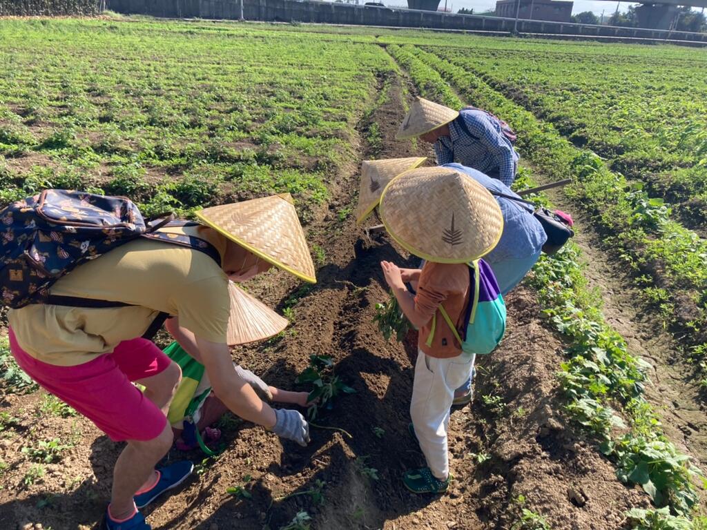 親子農事體驗