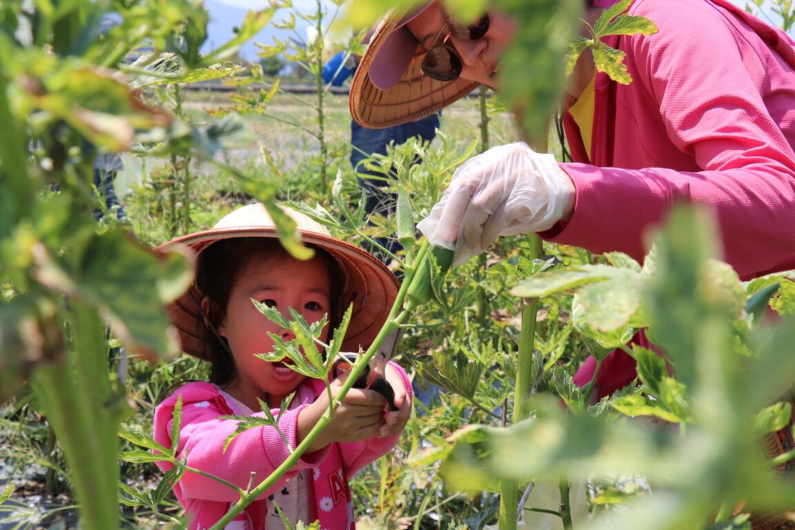 親子農事體驗
