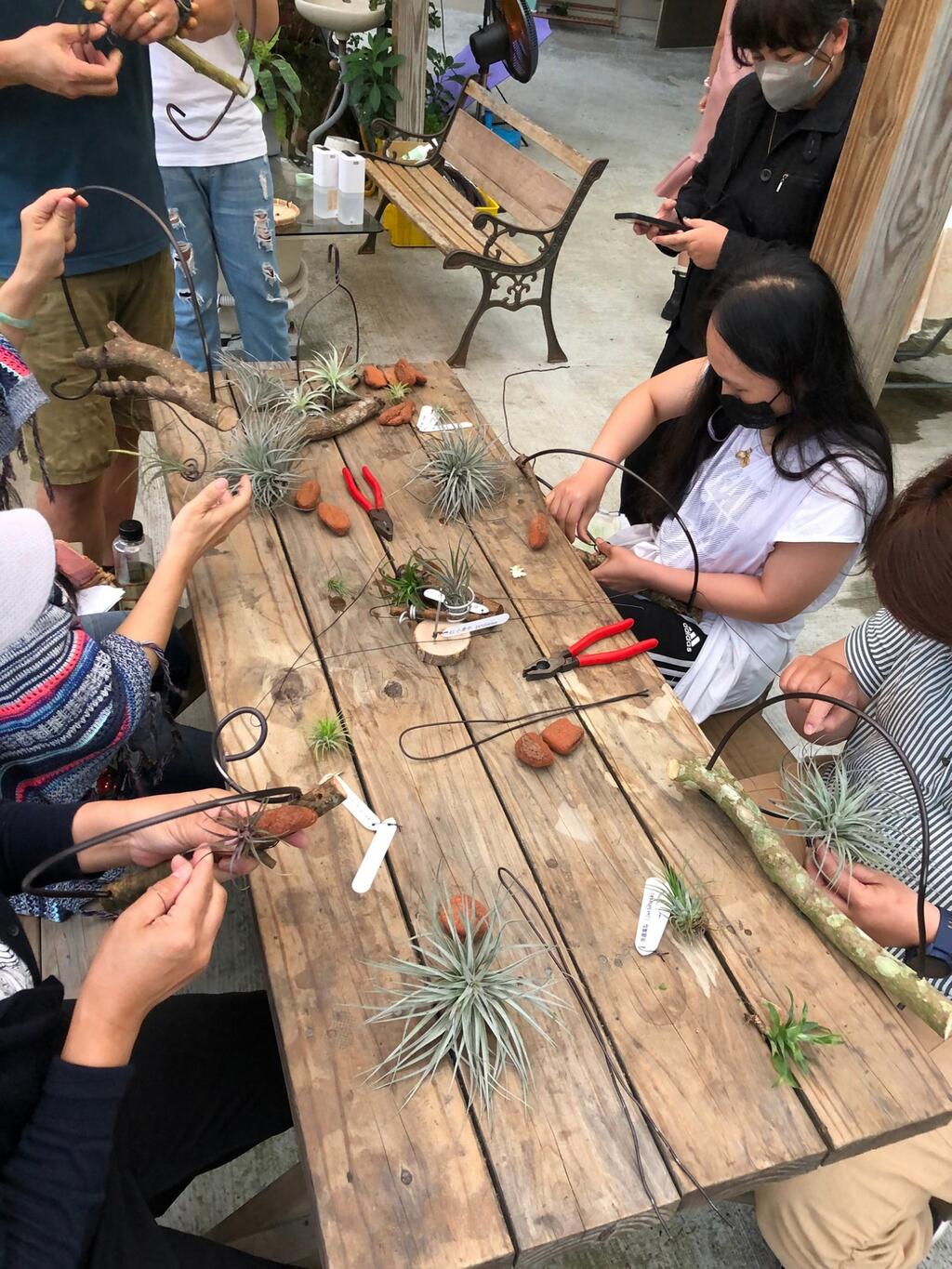 豐之茶旅｜#植藝手作 綠手指體驗