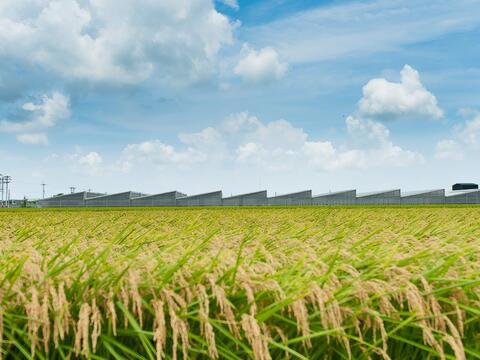 晁陽綠能休閒農場(附設田媽媽班)