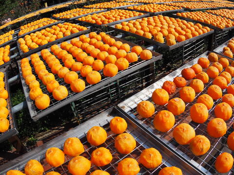 金漢柿餅教育農園