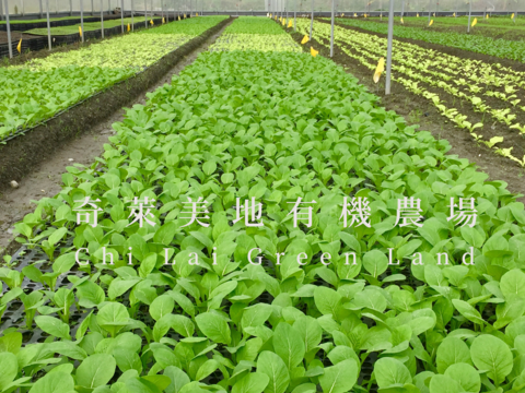 奇萊美地有機農場