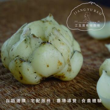 江玉寶有機農場