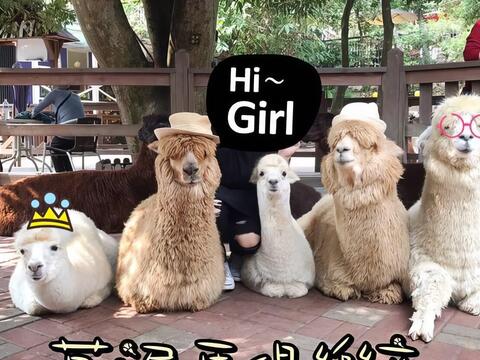 今夜星辰休閒農場